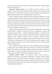 Valdymo informacinių sistemų klasifikacija 7 puslapis