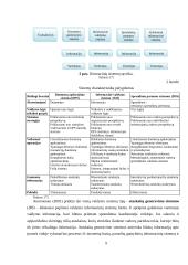 Valdymo informacinių sistemų klasifikacija 9 puslapis