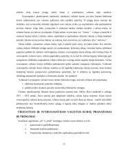 Valiutos kursas ir jo rūšys 12 puslapis