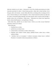 Valiutos kursas ir jo rūšys 3 puslapis