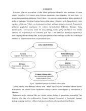 Valiutos kursas ir jo rūšys 4 puslapis