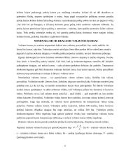 Valiutos kursas ir jo rūšys 6 puslapis