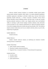 Valstybės institucijos samprata ir sistema. Valstybės institucijų klasifikavimo pagrindai, funkcijos ir kompetencija 3 puslapis