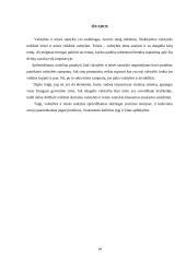 Valstybės ir teisės teorijos santykis 9 puslapis