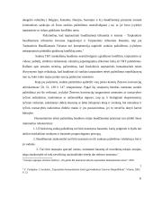 Valstybių įsipareigojimai užkertant kelią ir persekiojant už humanitarinės teisės pažeidimus 6 puslapis