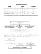 Veiklos biudžeto sudarymas 11 puslapis