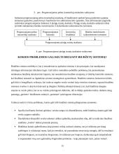 Veiklos biudžeto sudarymas 12 puslapis