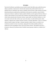 Veiklos biudžeto sudarymas 14 puslapis