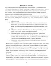 Veiklos biudžeto sudarymas 3 puslapis