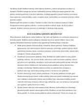 Veiklos biudžeto sudarymas 4 puslapis