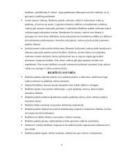 Veiklos biudžeto sudarymas 5 puslapis