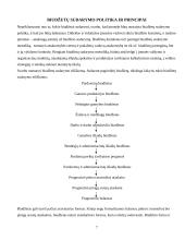 Veiklos biudžeto sudarymas 6 puslapis