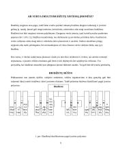 Veiklos biudžeto sudarymas 8 puslapis