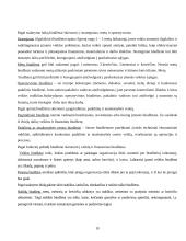 Veiklos biudžeto sudarymas 9 puslapis