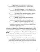 Veiklos organizavimo principai: UAB Klaipėdos "Ugnė" 11 puslapis