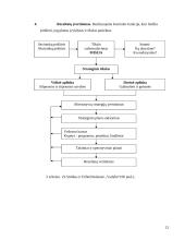 Veiklos organizavimo principai: UAB Klaipėdos "Ugnė" 12 puslapis