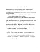 Veiklos organizavimo principai: UAB Klaipėdos "Ugnė" 13 puslapis