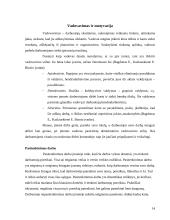 Veiklos organizavimo principai: UAB Klaipėdos "Ugnė" 14 puslapis