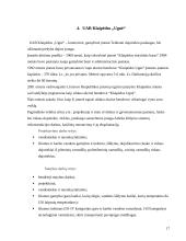 Veiklos organizavimo principai: UAB Klaipėdos "Ugnė" 17 puslapis