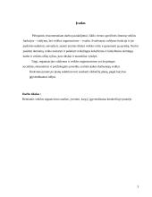 Veiklos organizavimo principai: UAB Klaipėdos "Ugnė" 3 puslapis