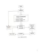 Veiklos organizavimo principai: UAB Klaipėdos "Ugnė" 5 puslapis