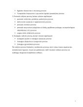 Veiklos organizavimo principai: UAB Klaipėdos "Ugnė" 7 puslapis