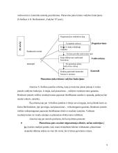 Veiklos organizavimo principai: UAB Klaipėdos "Ugnė" 9 puslapis