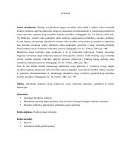 Veiksniai, įtakojantys pradinuko savęs vertinimą