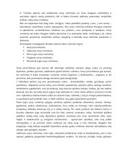 Veiksniai, įtakojantys pradinuko savęs vertinimą 5 puslapis