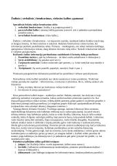 Žodinis (verbalinis) ir neverbalinis bendravimas 2 puslapis