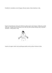 Žodinis (verbalinis) ir neverbalinis bendravimas 13 puslapis