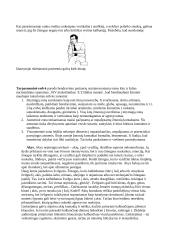 Žodinis (verbalinis) ir neverbalinis bendravimas 14 puslapis