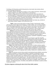 Žodinis (verbalinis) ir neverbalinis bendravimas 15 puslapis