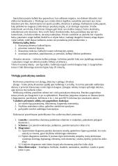 Žodinis (verbalinis) ir neverbalinis bendravimas 3 puslapis