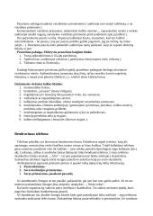 Žodinis (verbalinis) ir neverbalinis bendravimas 4 puslapis