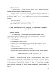 Verslo apskaitos standartų pasikeitimai 11 puslapis