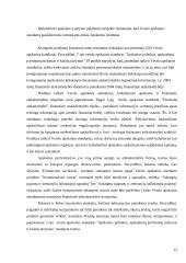 Verslo apskaitos standartų pasikeitimai 12 puslapis