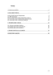 Verslo įmonės turtas 2 puslapis