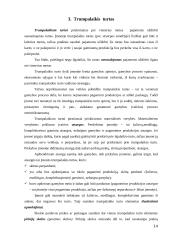 Verslo įmonės turtas 14 puslapis