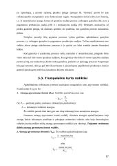 Verslo įmonės turtas 17 puslapis