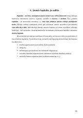 Verslo įmonės turtas 19 puslapis