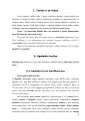 Verslo įmonės turtas 3 puslapis