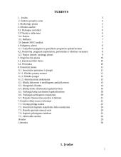 Verslo planas: automobilių  priežiūros salonas 2 puslapis