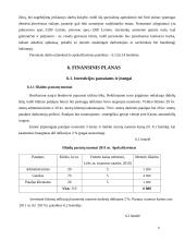 Verslo planas: automobilių  priežiūros salonas 11 puslapis