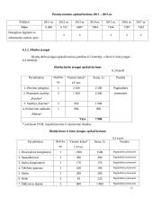 Verslo planas: automobilių  priežiūros salonas 12 puslapis