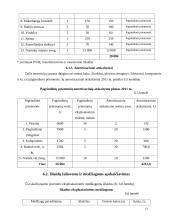 Verslo planas: automobilių  priežiūros salonas 13 puslapis