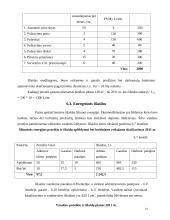 Verslo planas: automobilių  priežiūros salonas 14 puslapis