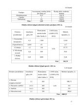 Verslo planas: automobilių  priežiūros salonas 15 puslapis