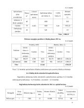 Verslo planas: automobilių  priežiūros salonas 16 puslapis