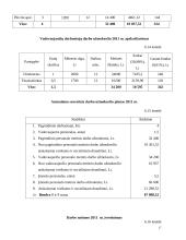 Verslo planas: automobilių  priežiūros salonas 17 puslapis